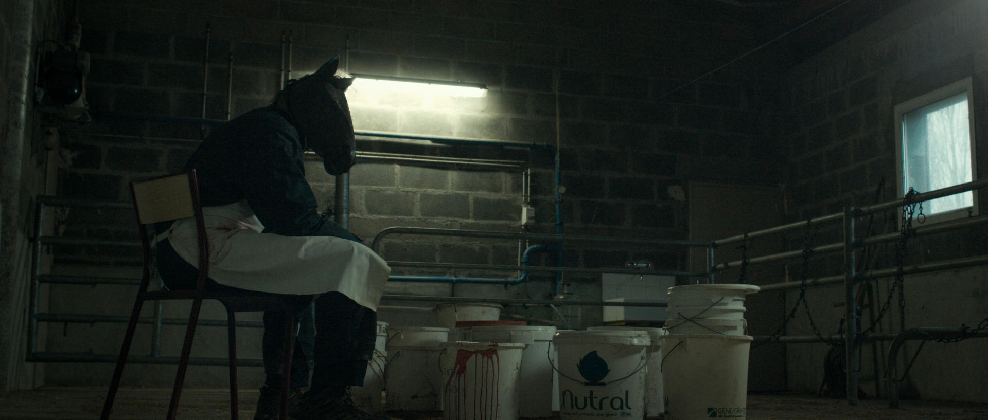 Les Animaux Anonymes – image du film fantastique de Baptiste Rouveure